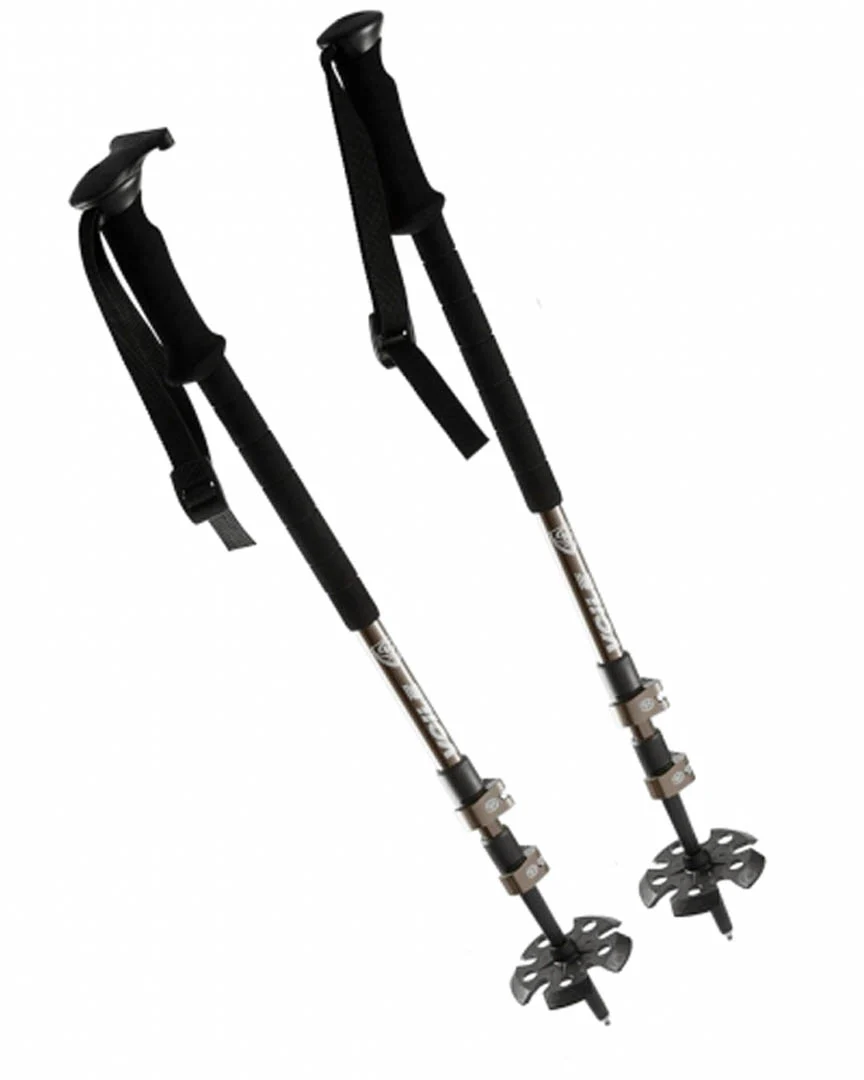 Camlock 3 Splitboarding Poles