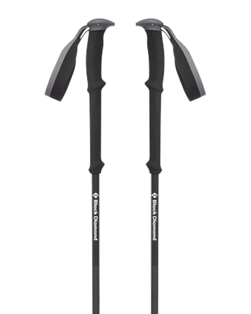Vapor Carbon Ski Poles Ski Poles - Image 2