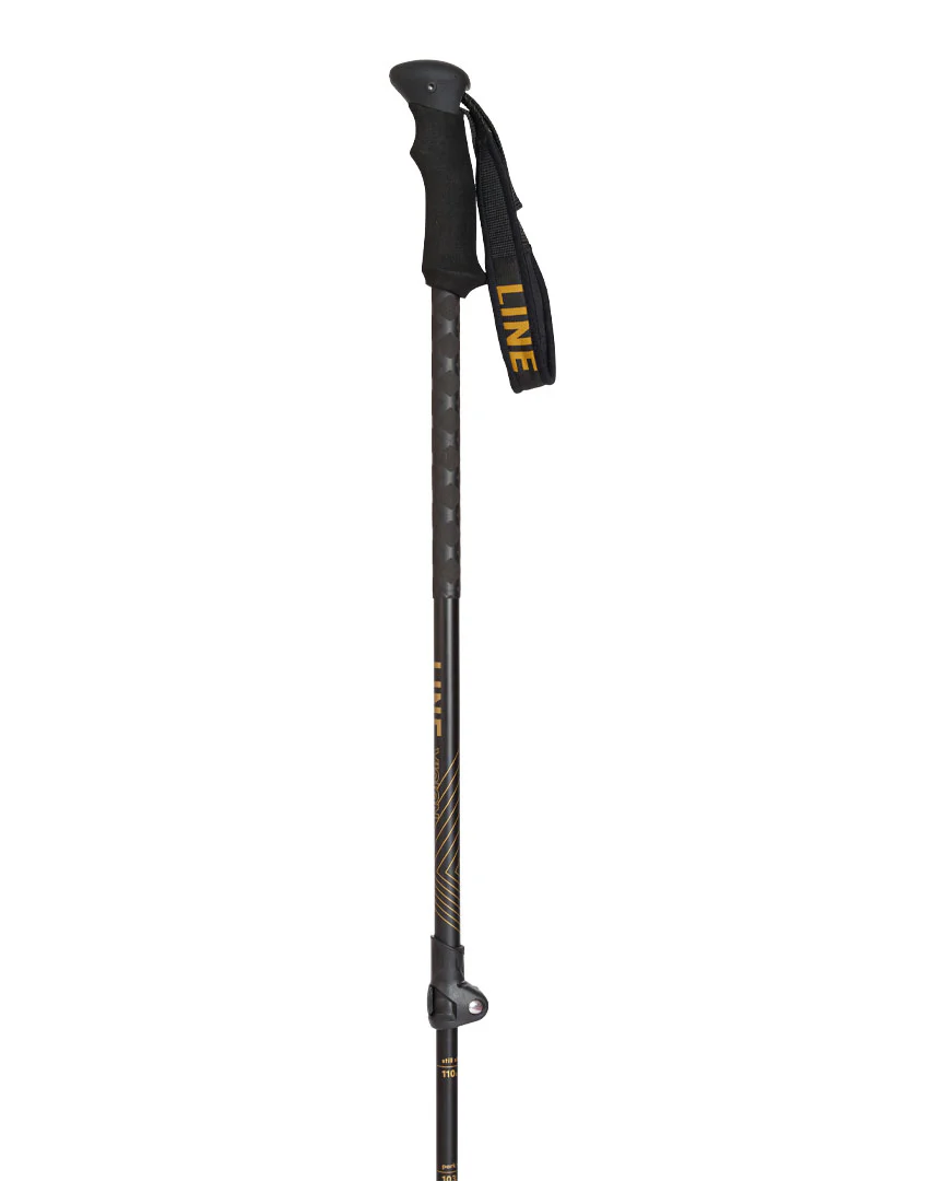 Vision Ski Poles - Black Gold - Image 2