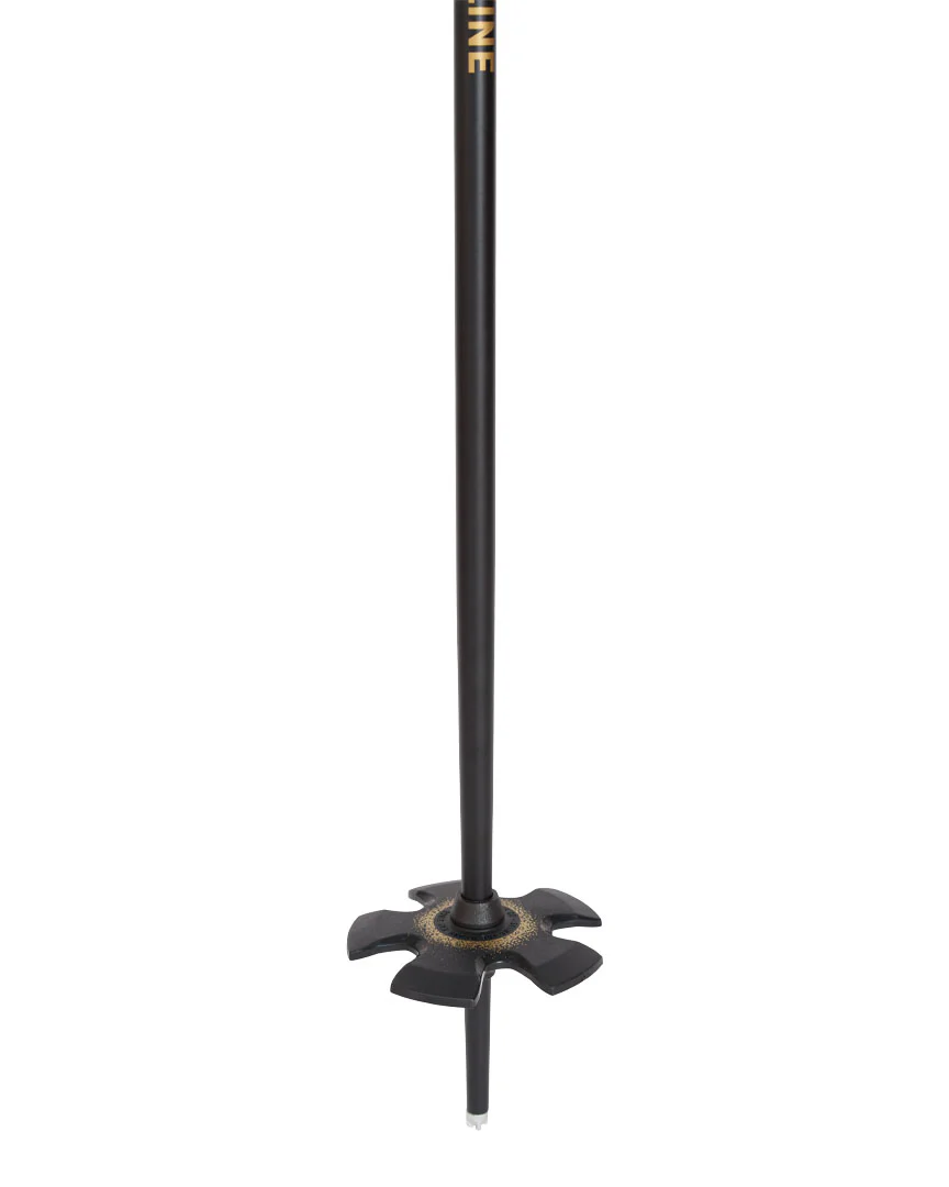 Vision Ski Poles - Black Gold - Image 4