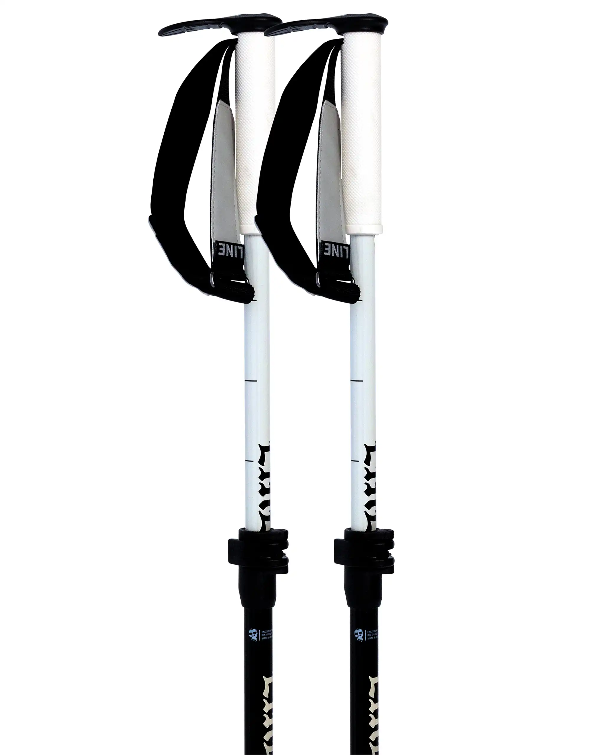 Paintbrush Ski Poles - Black - Image 2